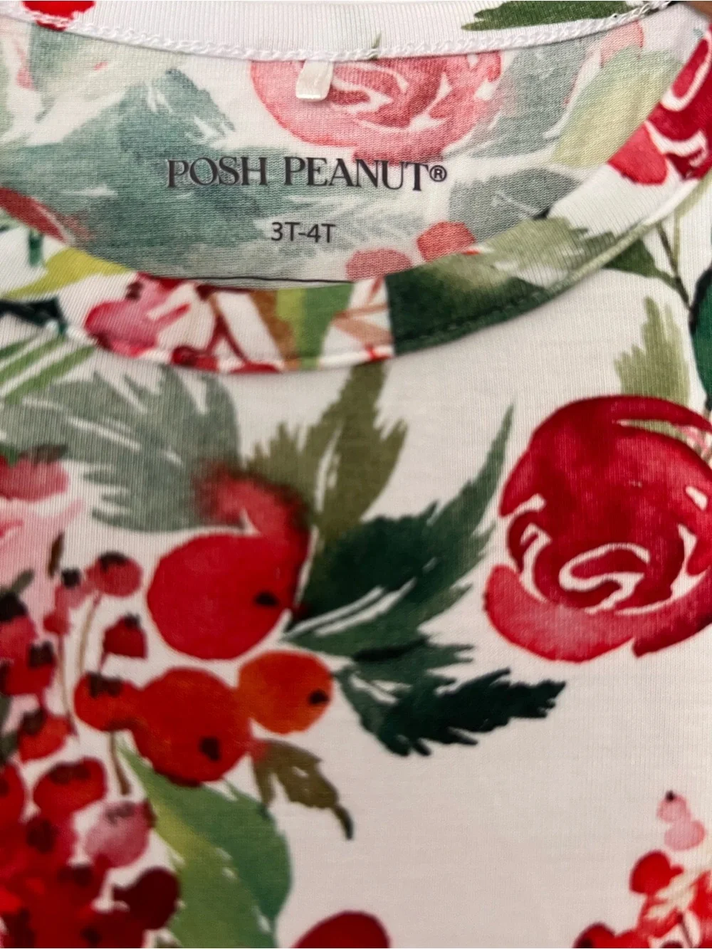 Posh Peanut Red & Green Floral Long Sleeve Dress
